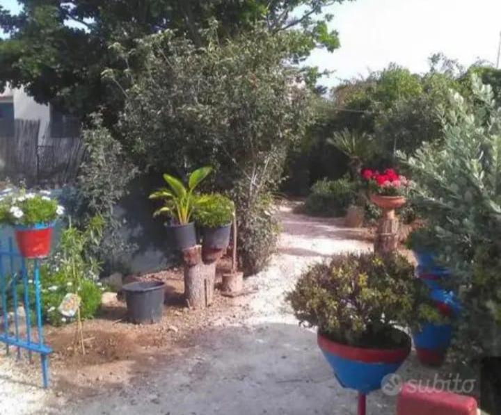 La Mia Africa Hotel Favignana Kültér fotó
